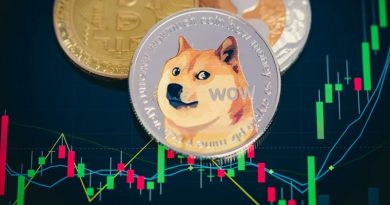 Future of Doge Coin